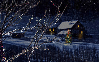 House christmas tree night lights - a house free wallpaper