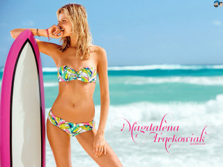 Woman bikini surfboard beach ocean - christian hilfgott brand free wallpaper for desktop