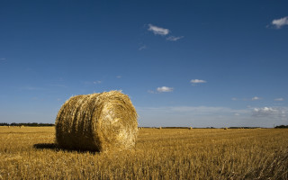 Hay bale wheat field blue - heavy free wallpaper