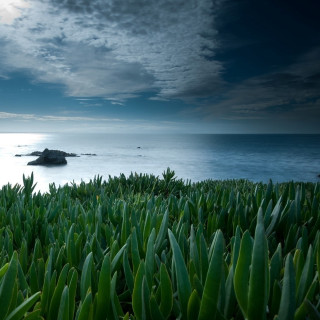 Grassy area water rock cloudy - a body of water free wallpaper for tablet