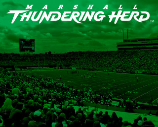 Stadium filled people green background - a stadium free wallpaper