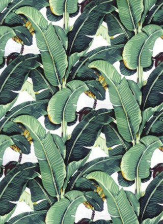 Green black banana leaf flower - jungle free wallpaper for mobile