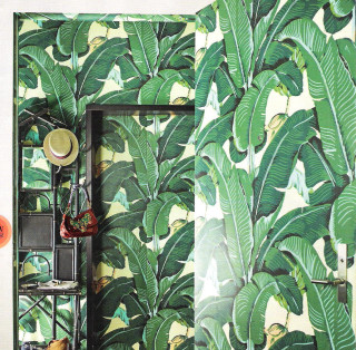 Bathroom green wallpaper mirror shelf - jungle free wallpaper for tablet