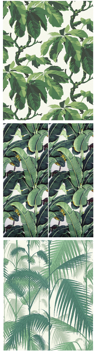 Green leaves white background palm - jungle free wallpaper for mobile