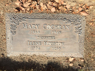 Plaque ground tree leaves around - a few leaf free wallpaper for desktop