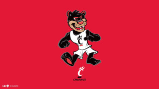 Cartoon bear baseball uniform glove - a baseball glove free wallpaper