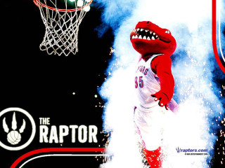 Raptor basketball player grin hoop - free sports wallpaper