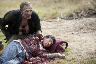 Man stabbed woman field knife - a woman in a field free wallpaper