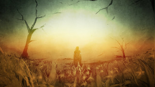 Person tallgrass sunset bird nature - overhead in the distance free wallpaper