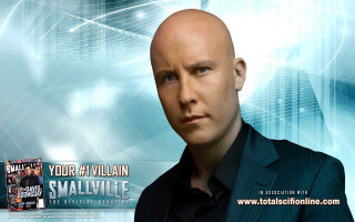 Bald man black shirt looking - a bald man free wallpaper