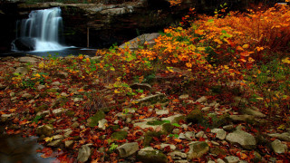 Waterfall rocks fall leaves stream - a waterfall free wallpaper