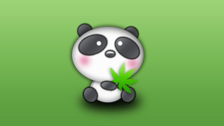Panda green leaf cute portrait - a green background behind free wallpaper for desktop