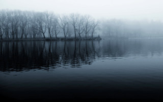 Lake trees fog water reflections 3 - gloomy atmosphere free wallpaper