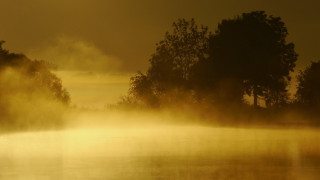Foggy lake trees birds flying - a foggy lake free wallpaper