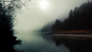 Foggy lake trees forest sun - mist free wallpaper