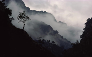 Tree mountain fog city clouds - low free wallpaper for desktop