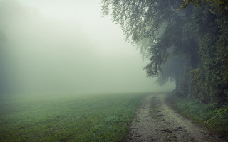 Dirt road field tree fog - volumetric fog free wallpaper for desktop