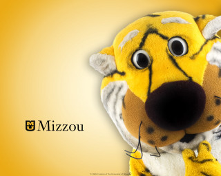 Stuffed bear big nose furry - animal free wallpaper