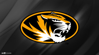 Tiger head black background yellow - official medium free wallpaper
