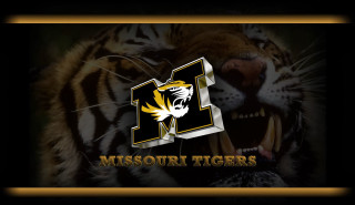 Tiger mouth open missouri tigers - its mouth open free wallpaper for desktop