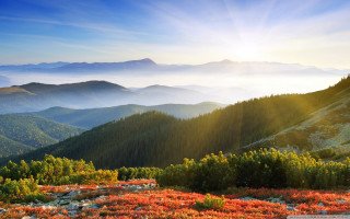 Scenic mountain range sunbeam forest - a scenic view of a mountain range free wallpaper