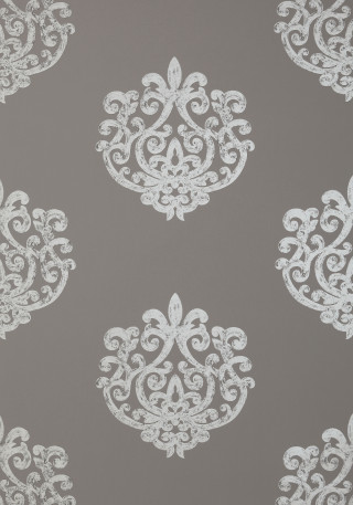 White flowers gray background flower - white flower free wallpaper for mobile