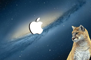 Cat rock apple logo galaxy - david rudnick free wallpaper for desktop