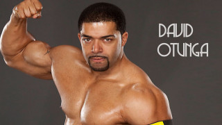 Bald man yellow belt muscular - a bald head free wallpaper