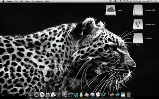 Leopard macbook pro black white - a white background free wallpaper