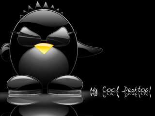 Black bird yellow beak black - cool free wallpaper
