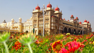 Large building red domes flowers - flower in front free wallpaper