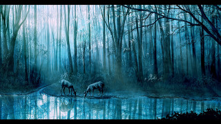 Animals woods river reflection forest - anato finnstark free wallpaper for desktop