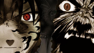 Cat dog artistic photo together - this artistic photo free wallpaper