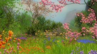 Field flowers trees rainbow background - flower and trees free wallpaper