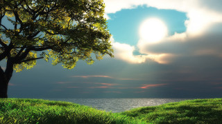 Tree hill lake sun sky 2 - nature free wallpaper