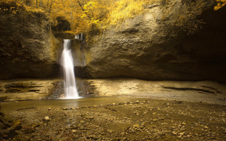 Waterfall cascade forest yellow leaves - yellow leaf free wallpaper