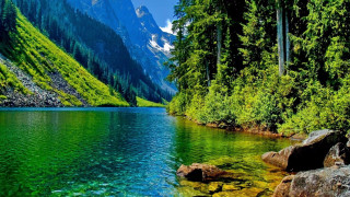 Mountain lake forest rocks scenery 2 - a green forest free wallpaper for desktop