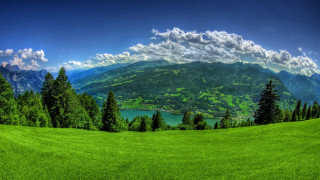 Green field trees mountains lake 11 - the background and a lake in the foreground free wallpaper