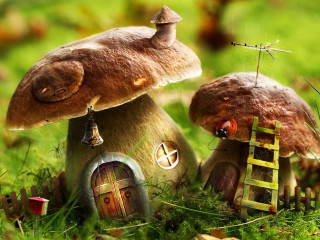 Mushrooms ladder grass house door - a door and a window free wallpaper