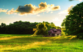 House field trees background cloudy - a house in a field free wallpaper