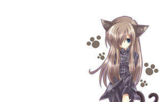 Cat girl long hair cat - a white background free wallpaper