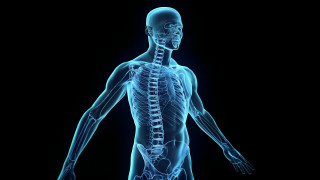 Skeleton highlighted blue black image - a skeleton free wallpaper for desktop