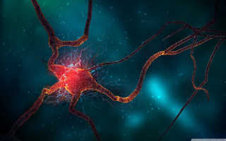 Nematic cell red light blue - biopunk free wallpaper for desktop