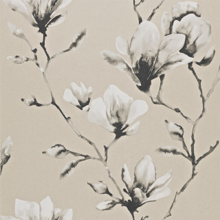 Flower wallpaper beige background black - a picture of a flower free wallpaper for tablet