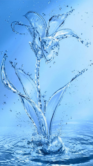 Flower splashing water blue background - a blue sky behind free wallpaper for mobile