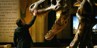 Man touching dinosaur museum exhibit - vfx free wallpaper for desktop