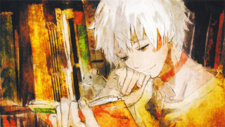 Boy reading book mouse bookshelf - analytical art free wallpaper