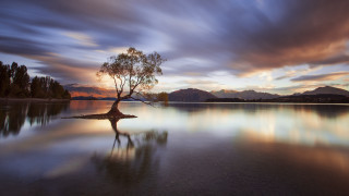 Lone tree lake sunset mountains - free sunset wallpaper for desktop