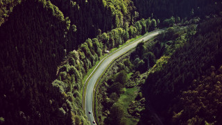 Winding road forest car driving - winding free wallpaper