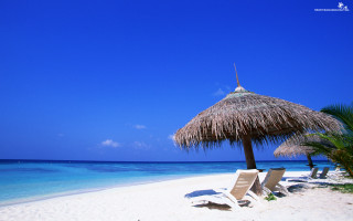 Beach thatched umbrella chairs blue 3 - a white sand beach free wallpaper for desktop